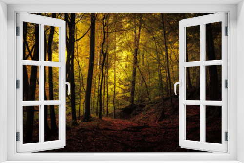 Fototapeta Naklejka Na Ścianę Okno 3D - Golden October, lovely warm colors in the forest wood hills of the Saarland countryside in Germany, Europe in autumn fall