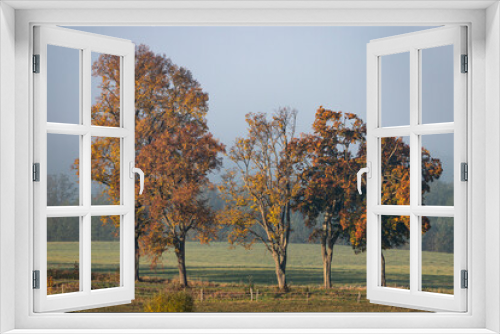 Fototapeta Naklejka Na Ścianę Okno 3D - Jesienne drzewa