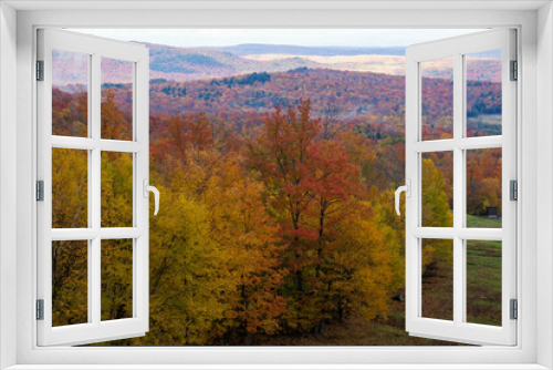 Fototapeta Naklejka Na Ścianę Okno 3D - Colorful view