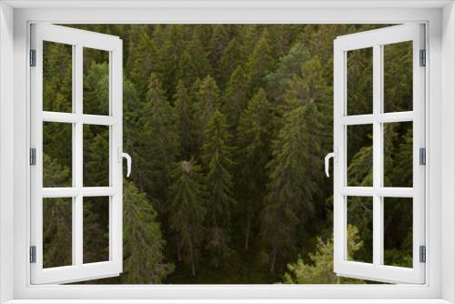 Fototapeta Naklejka Na Ścianę Okno 3D - Large green trees in the forest top view. Forest taiga with green Christmas trees. Danger of getting lost. National Nature Reserve in summer.