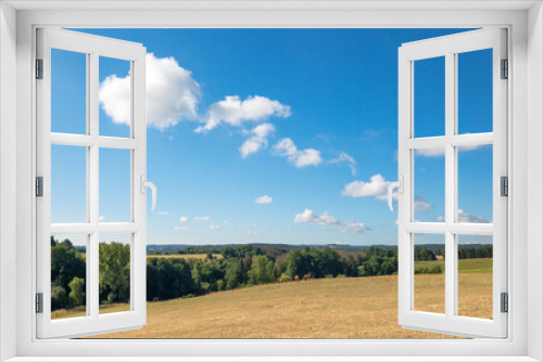 Fototapeta Naklejka Na Ścianę Okno 3D - Idyllic landscape in the german countryside, pasture, forest and blue sky with white fluffy clouds