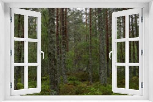 Fototapeta Naklejka Na Ścianę Okno 3D - Impressionen der Schottischen Highlands