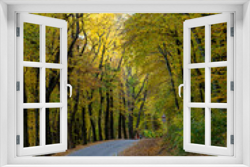 Fototapeta Naklejka Na Ścianę Okno 3D - The landscape was shot in the warm autumn on a bright sunny day In the photo, a road running through a forest full of trees with yellow leaves.