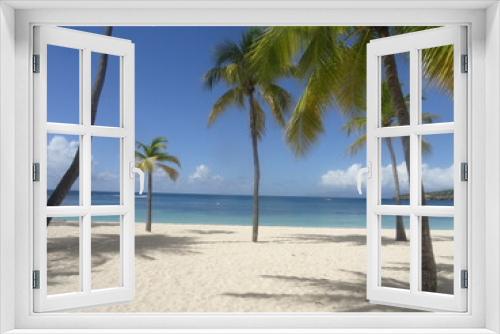 Fototapeta Naklejka Na Ścianę Okno 3D - Des palmiers sur la plage de sable blanc, devant la mer turquoise
