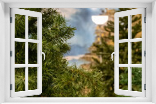 Fototapeta Naklejka Na Ścianę Okno 3D - surrounded by mirrored synthetic pine trees, christmas scene