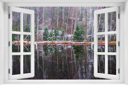 Fototapeta Naklejka Na Ścianę Okno 3D - Beautiful water reflections in a lake in a forest