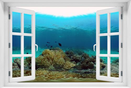 Fototapeta Naklejka Na Ścianę Okno 3D - Tropical colourful underwater seascape.The underwater world with colored fish and a coral reef. Philippines. 360 panorama VR