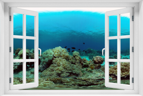 Fototapeta Naklejka Na Ścianę Okno 3D - Beautiful underwater landscape with tropical fish and corals. Philippines. 360 panorama VR