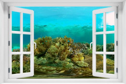 Fototapeta Naklejka Na Ścianę Okno 3D - Colorful tropical coral reef. Hard and soft corals, underwater landscape. Travel vacation concept. Philippines. 360 panorama VR
