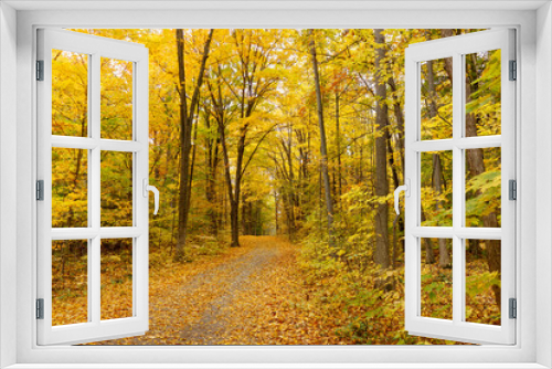 Fototapeta Naklejka Na Ścianę Okno 3D - Fall Leaves Foliage 