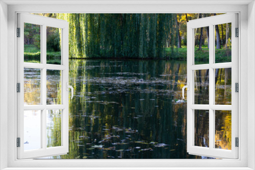 Fototapeta Naklejka Na Ścianę Okno 3D - Reflection of trees in the lake
