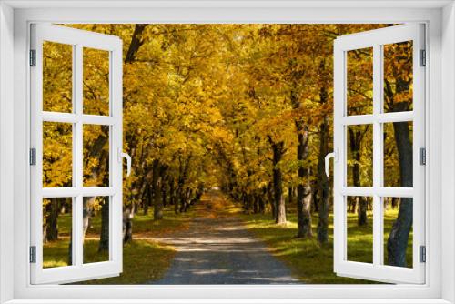 Fototapeta Naklejka Na Ścianę Okno 3D - small country road leading into endless golden autumn forest