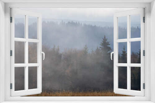 Fototapeta Naklejka Na Ścianę Okno 3D - Trees seen through the fog