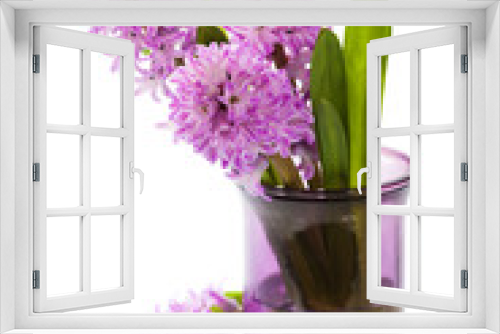 Fototapeta Naklejka Na Ścianę Okno 3D - Beautiful Hyacinths