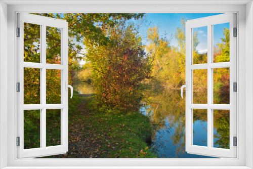 Fototapeta Naklejka Na Ścianę Okno 3D - Herbst in den Rheinauen im Elsass