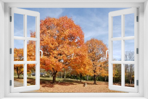 Fototapeta Naklejka Na Ścianę Okno 3D - Duranceau Park in Fall, Columbus, Ohio