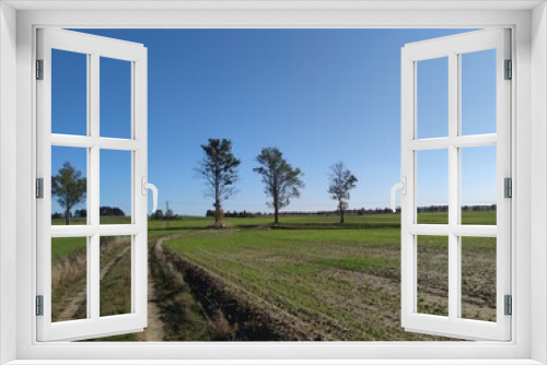 Fototapeta Naklejka Na Ścianę Okno 3D - landscape in the country