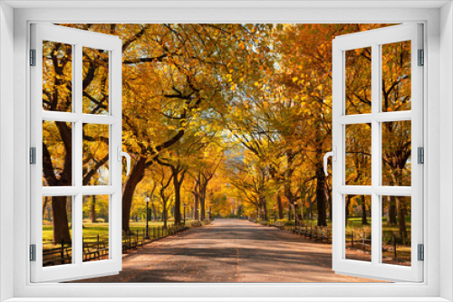 Fototapeta Naklejka Na Ścianę Okno 3D - Poet's Walk promenade in Central Park in full autumn foliage colors. Manhattan, New York City