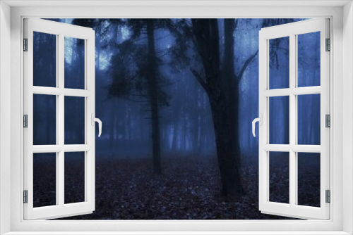 Fototapeta Naklejka Na Ścianę Okno 3D - Spooky dead forest. Twilight in the woods. Dark autumn forest in blue colours. 