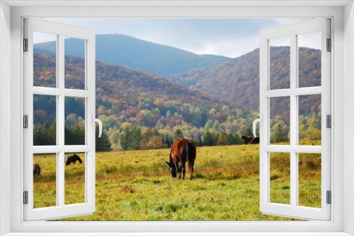 Fototapeta Naklejka Na Ścianę Okno 3D - Dzikie konie w Bieszczadach.