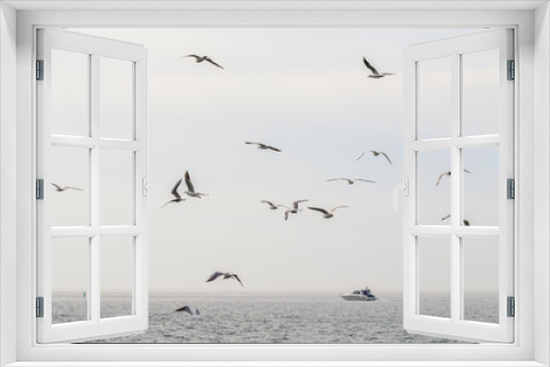 Fototapeta Naklejka Na Ścianę Okno 3D - Seagulls fly against the background of the sea and the sky.