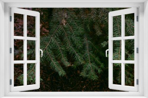 Fototapeta Naklejka Na Ścianę Okno 3D - christmas tree branches