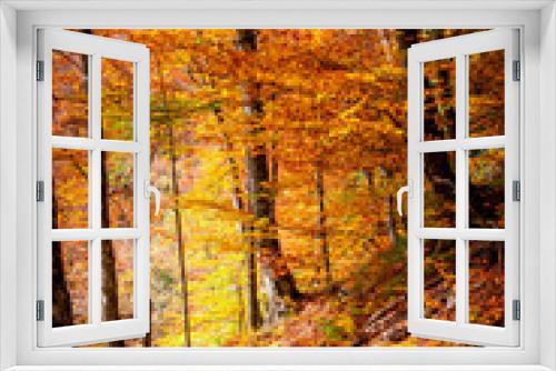 Fototapeta Naklejka Na Ścianę Okno 3D - Autumn in Buila Vanturarita National Park, Carpathian Mountains, Romania. Vivid fall colors in forest. Colorful Autumn Leaves. Green, yellow, orange, red.
