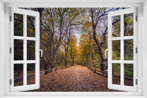 Fototapeta Naklejka Na Ścianę Okno 3D - Jesienne ścieżki w podwarszawskim parku leśnym 