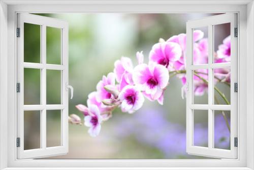Fototapeta Naklejka Na Ścianę Okno 3D - A branch of Pink orchid flower closeup