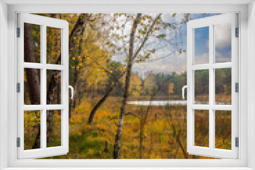 Fototapeta Naklejka Na Ścianę Okno 3D - Autumn. Jesień, las, przyroda