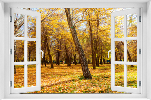 Fototapeta Naklejka Na Ścianę Okno 3D - Beautiful autumn park scenery