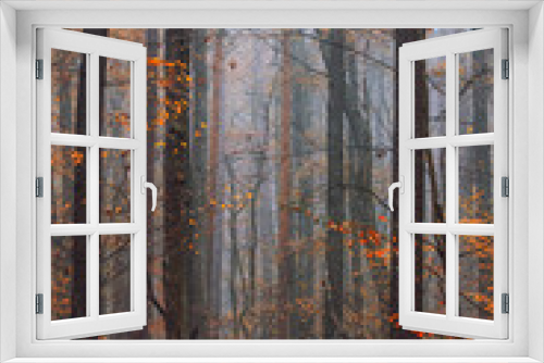 Fototapeta Naklejka Na Ścianę Okno 3D - misty autumn forest