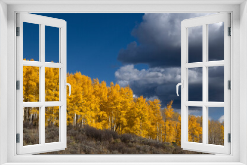 Fototapeta Naklejka Na Ścianę Okno 3D - Bright Aspen Hillside, Colorado