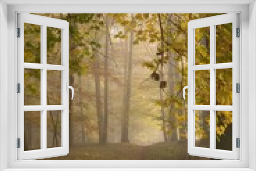 Fototapeta Naklejka Na Ścianę Okno 3D - A view of the autumn forest in the fog, a beautiful dreamy scene