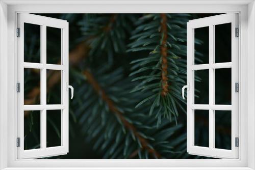 Fototapeta Naklejka Na Ścianę Okno 3D - Green branches of a Christmas tree, coniferous saturated tree branches close-up, background of a tree needle
