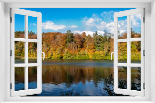 Fototapeta Naklejka Na Ścianę Okno 3D - beautiful Autumn colours of the trees at Castlewellan Lake