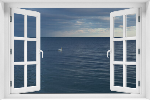 Fototapeta Naklejka Na Ścianę Okno 3D - swan on lake