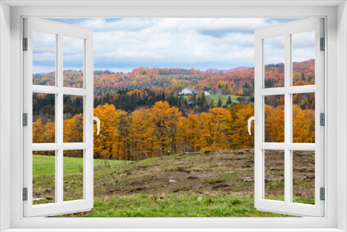 Fototapeta Naklejka Na Ścianę Okno 3D - Autumn scenery, Cabot, Washington County, Vermont, USA