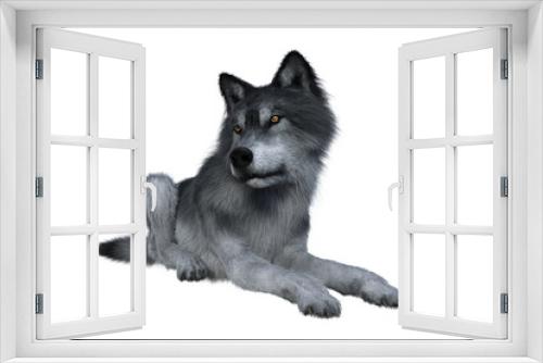 Fototapeta Naklejka Na Ścianę Okno 3D - Grey wolf relaxing.