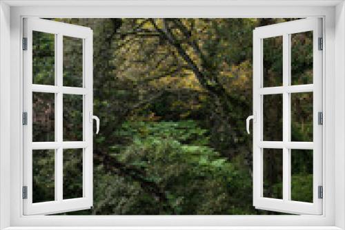 Fototapeta Naklejka Na Ścianę Okno 3D - lush green forest