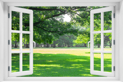 Fototapeta Naklejka Na Ścianę Okno 3D - green garden