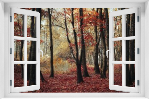 Fototapeta Naklejka Na Ścianę Okno 3D - Morning in the late autumn forest. Yellow and orange colors in a fairy woods. Sunlight and beautiful leaves on the trees.