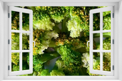Fototapeta Naklejka Na Ścianę Okno 3D - Macro shot of green broccoli close up, texture of broccoli, ugly vegetables.