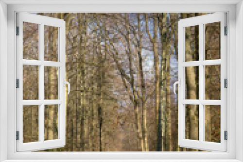 Fototapeta Naklejka Na Ścianę Okno 3D - Forêt de Fontainebleau, Région Ile De France, Seine Et Marne, 77, France