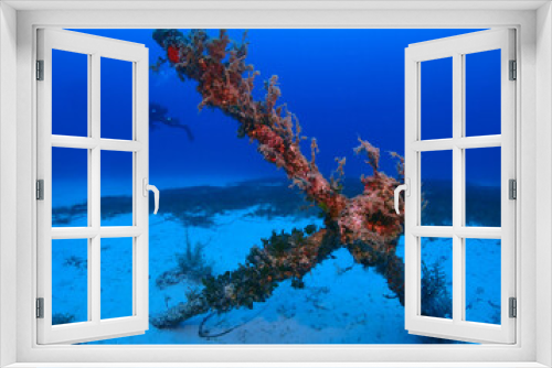 Fototapeta Naklejka Na Ścianę Okno 3D - Scuba Diving and Underwater Photography Malta - Wrecks Reefs Marine Life Caverns Caves History