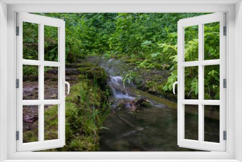 Fototapeta Naklejka Na Ścianę Okno 3D - forest creek artistic blur close-up.