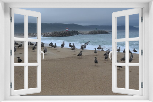 Fototapeta Naklejka Na Ścianę Okno 3D - Agroup of seagull on the beach