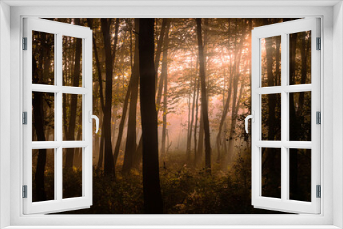 Fototapeta Naklejka Na Ścianę Okno 3D - Promienie słońca we mgle