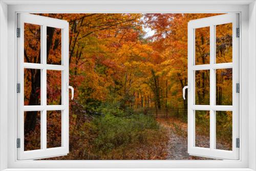Fototapeta Naklejka Na Ścianę Okno 3D - A colorful fall scene of vibrant trees of gold, red and yellow along an old gated road.