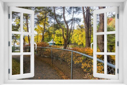 Fototapeta Naklejka Na Ścianę Okno 3D - Northwest Park Autumn Trees 3